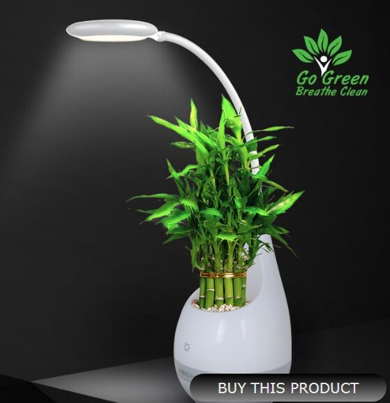 Touch lamp with plant pot